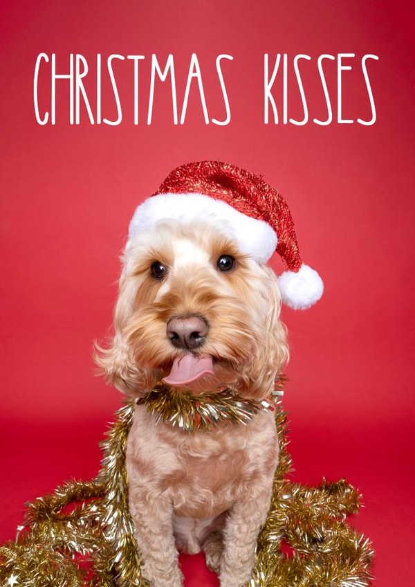 Cockapoo Christmas Kisses Dog Card created by The Yorkshire Pawtrait Co.