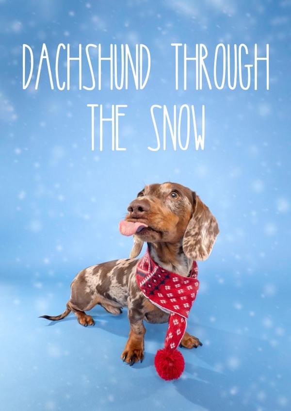 Dachshund Through The Snow Sausage Dog Christmas Card created by The Yorkshire Pawtrait Co.