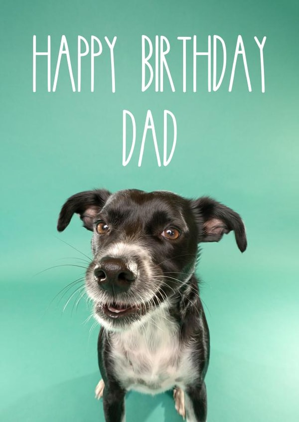 Happy Birthday Card for Dog Dads and Human Dads alike! created by The Yorkshire Pawtrait Co.