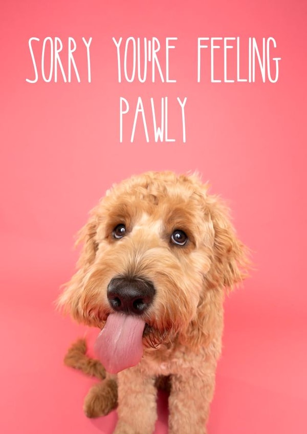 Colourful Get Well Soon Goldendoodle Dog Card created by The Yorkshire Pawtrait Co.