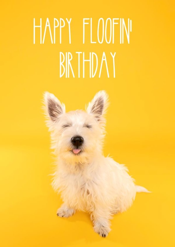 Cute and colourful dog birthday card created by The Yorkshire Pawtrait Co.