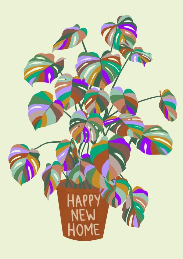 Cute New Home card - featuring a colourful monstera/cheese plant. created by Chloe Cooper