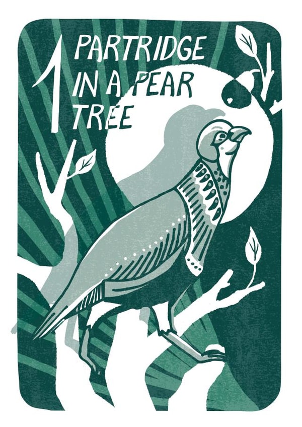 "Partridge in a pear tree" Fun Christmas card from 12 Days of Christmas Series created by Kati Lacey Illustration