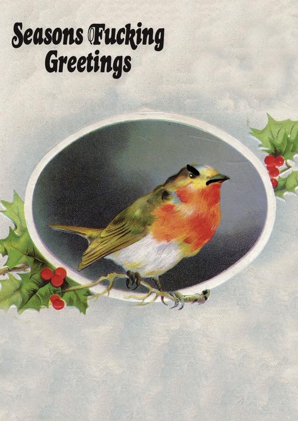 Funny Angry Robin Christmas Card created by Modern Toss