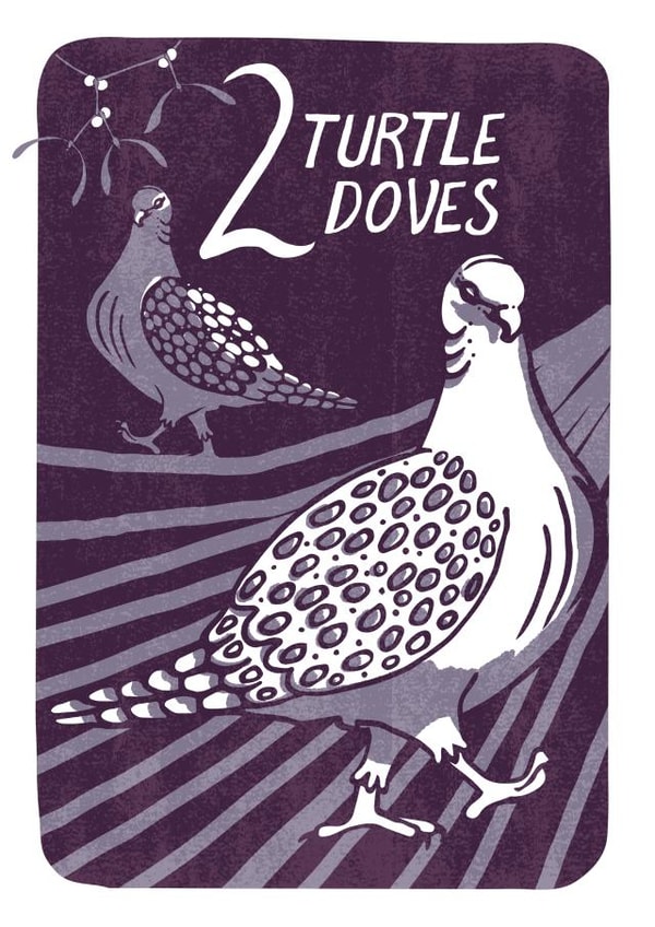 Fun & Festive 2 Turtle Doves Christmas card from the 12 Days of Christmas Series created by Kati Lacey Illustration