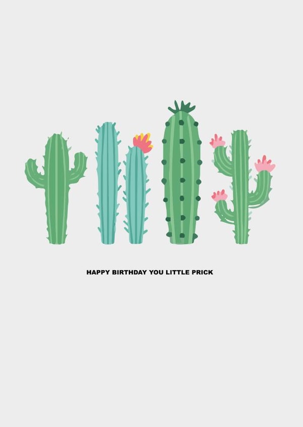 Funny Cute Cactus Birthday Card For Friend, Boyfriend, Husband, Fiancé created by Oh So Peachy