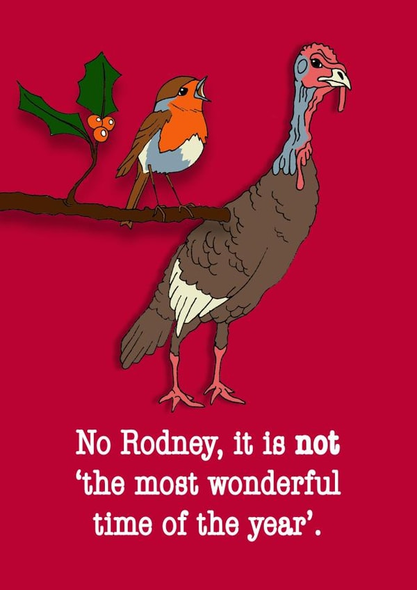 Funny Christmas Card - turkey and robin. created by Dragonfly Artworks