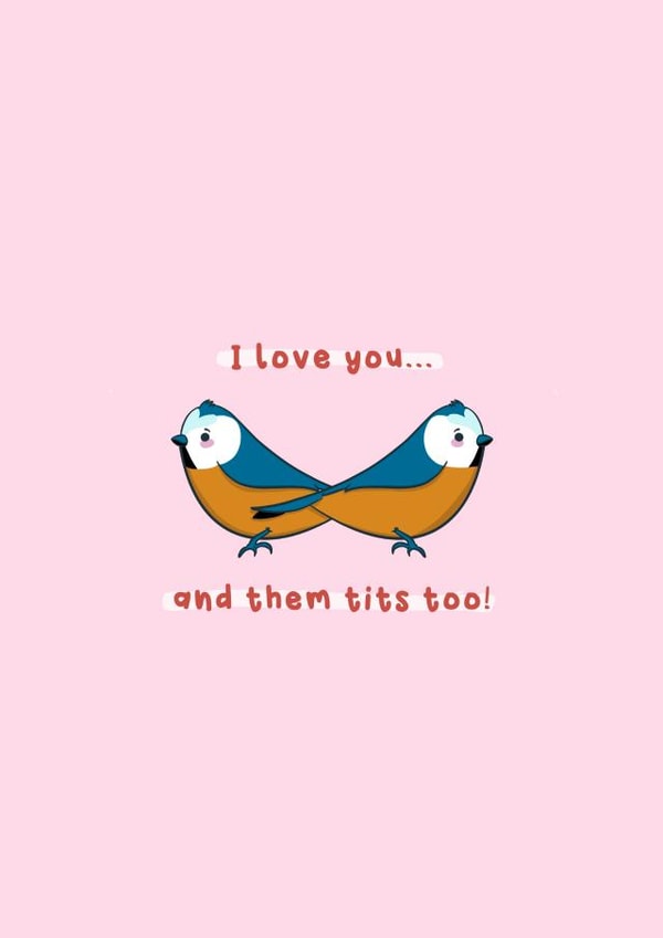 Valentine’s card - cute illustrated tits created by Daniella Illustrates 