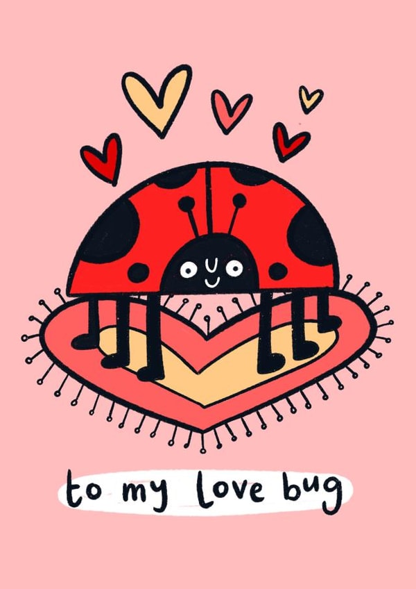 Cute Illustrated Ladybird Lovebug Ladybug Valentine's Card created by Lucy Maggie Designs