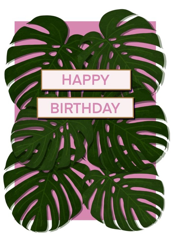 Contemporary Birthday Card for Relative/Friend - Monstera House Plant created by DC Cards