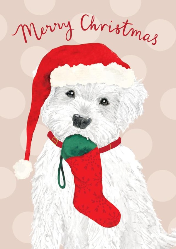 Cute Christmas Card - Dog With Stocking - Merry Christmas created by Louise Tiler