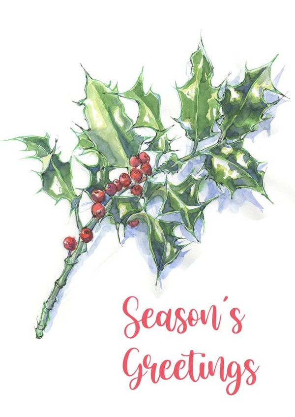 Holly on Snow created by Tim Pond