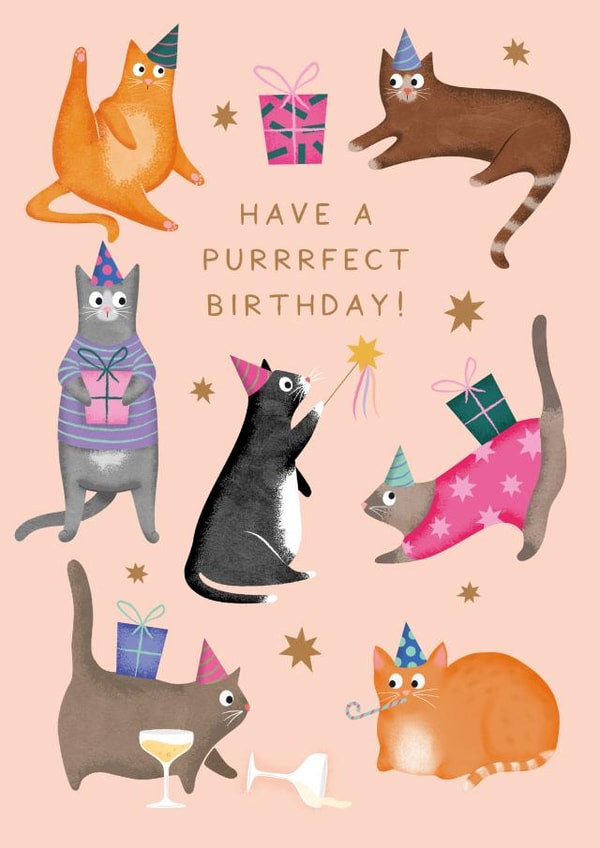 'Have A Purrrfect Birthday' - Party Cats Birthday Card created by Studio Mads