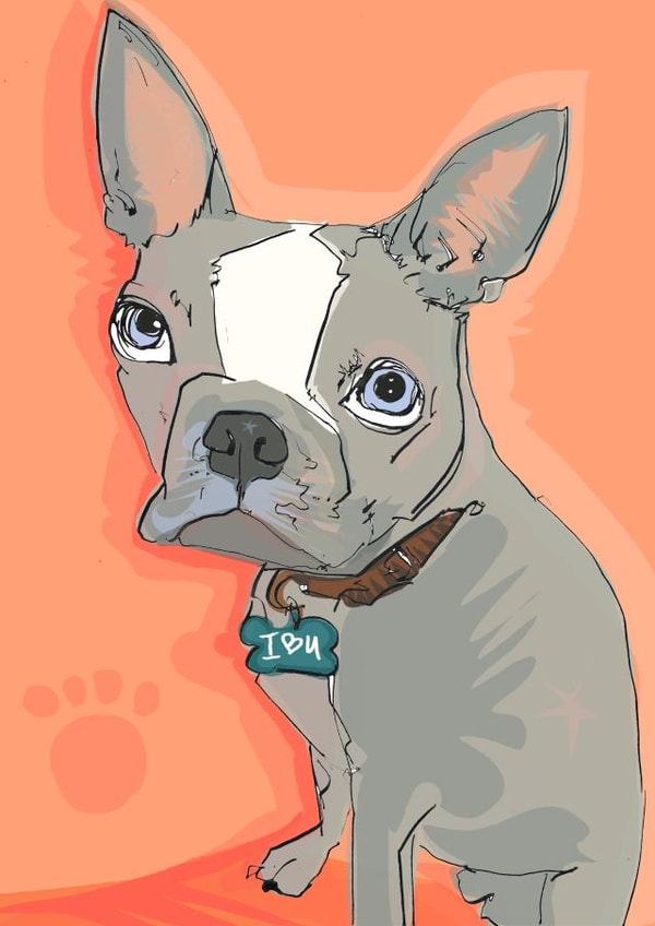 Cute French Bull Dog card for that special person in your life created by Higgledy Prints