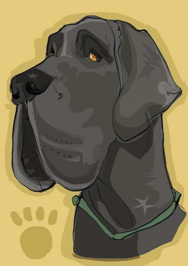 Gorgeous card for any occasion for the Great Dane lover in your life created by Higgledy Prints