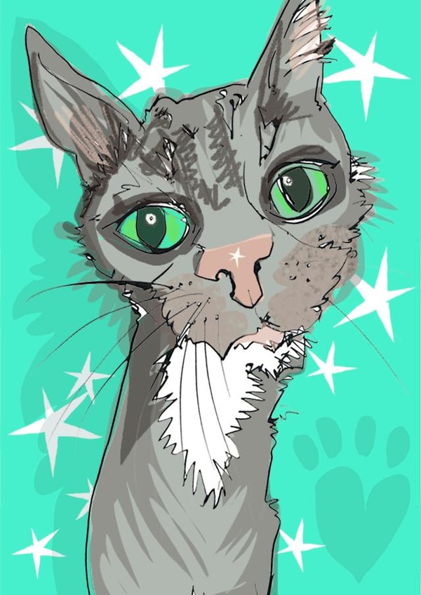 Cute starry cat card for any occasion created by Higgledy Prints
