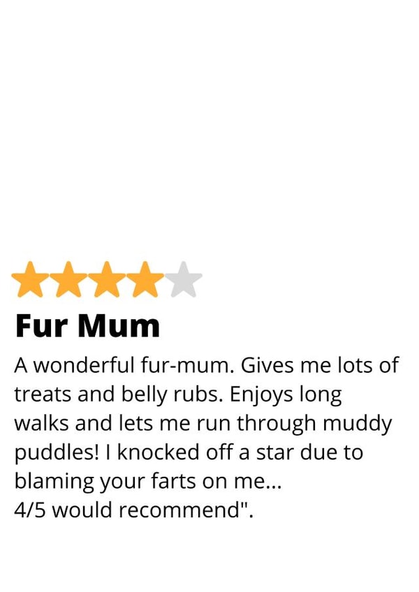 Funny Mother's day card - Fur Mum - star rating created by original fox designs