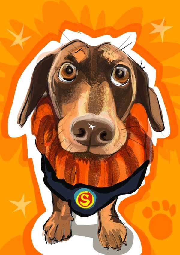Cute super sausage card for the that special person in your life created by Higgledy Prints