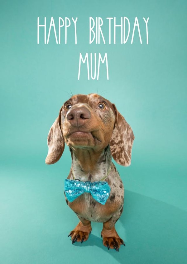 Cute Birthday Card - Dachshund Dog Mum | thortful
