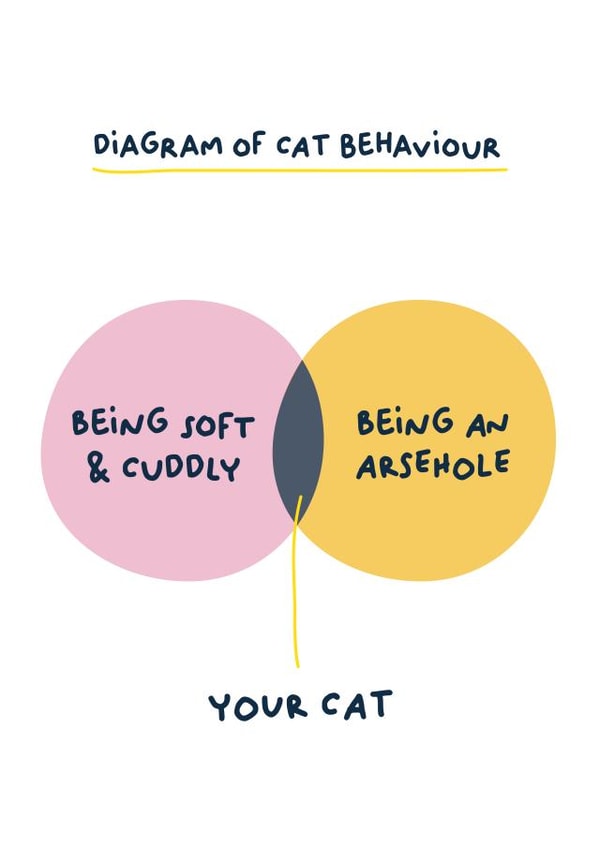 Diagram Of Cat Behaviour created by PaperJam Print Co.