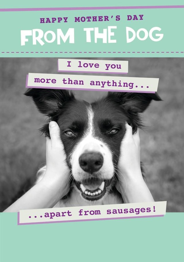 Funny from the dog mother's day card - cute doggie I love you... created by Quitting Hollywood