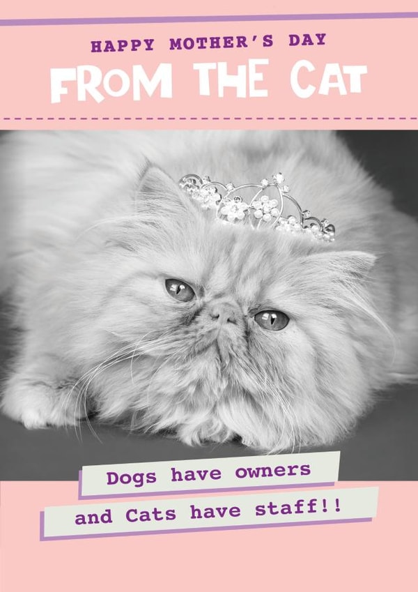 Funny from the cat mother's day card - cute doggie I love you... created by Quitting Hollywood