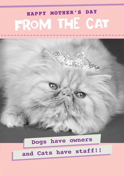 Funny from the cat mother's day card - cute doggie I love you... | thortful