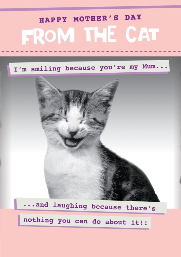 Funny from the Cat mother's day card - Laughing as there's nothing you can do! created by Quitting Hollywood