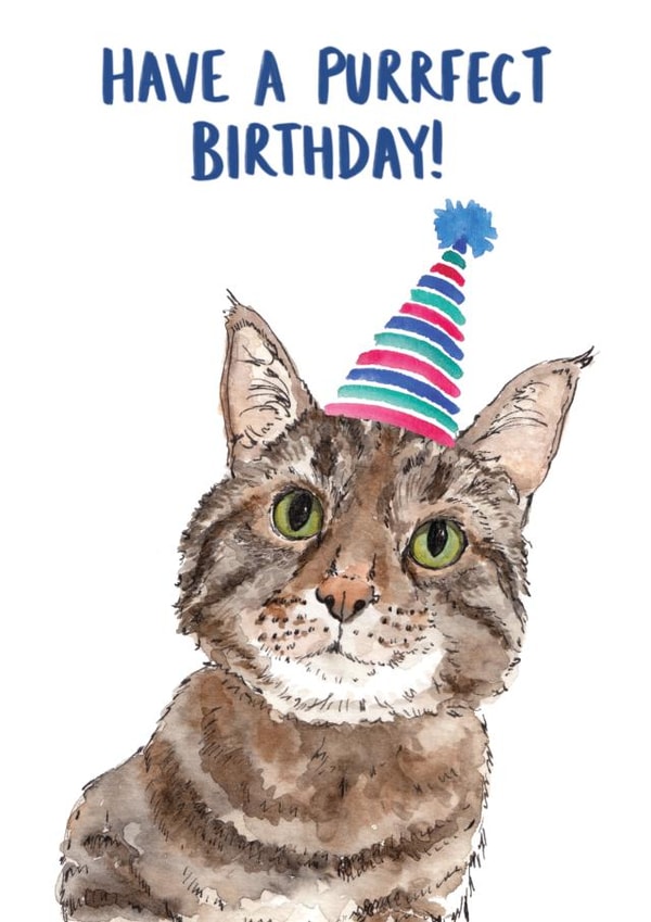 Cute cat birthday card for a cat lover - 'have a purrfect birthday' created by Bramble Designs