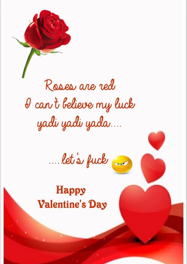Valentine's day, funny, naughty, girlfriend, boyfriend, wife, husband, created by Lee Rees
