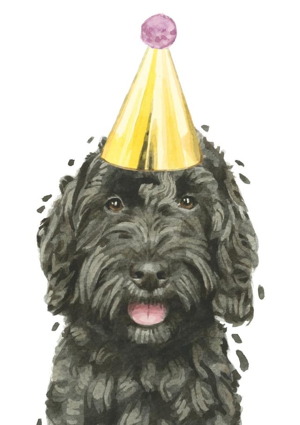 Cute Birthday Card - Black Cockapoo created by Robert James Hull