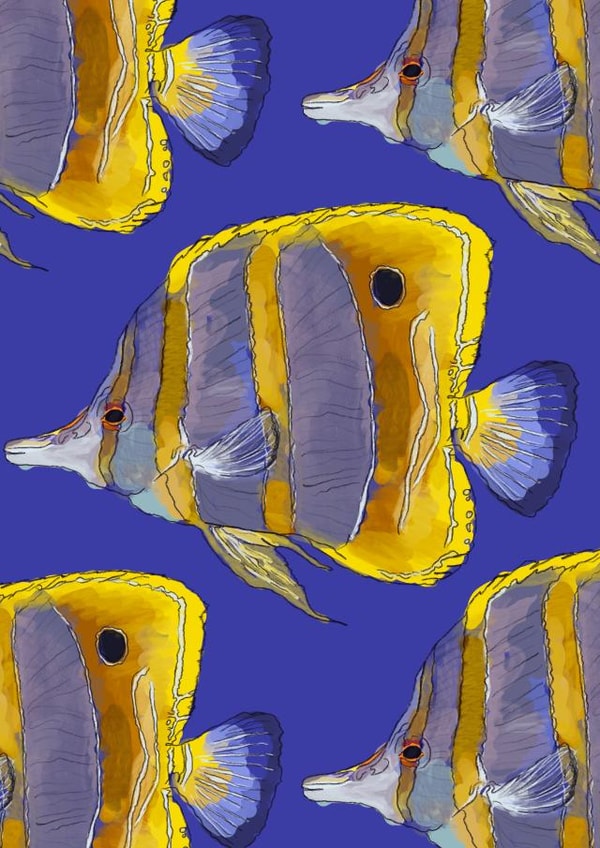 Cute Fish Card - Blank Card created by K Finn Designs 