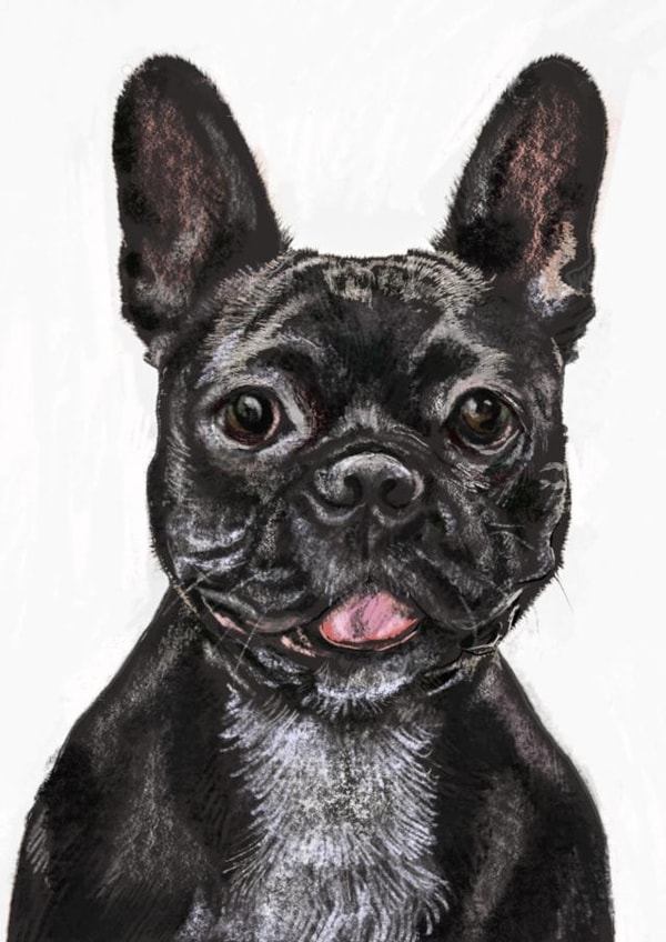 Cute All Occasions Card - French Bulldog created by Designs by Vivi 