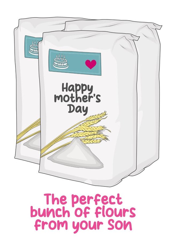 Perfect flowers from your son card - flour - funny created by Silly Sentiments