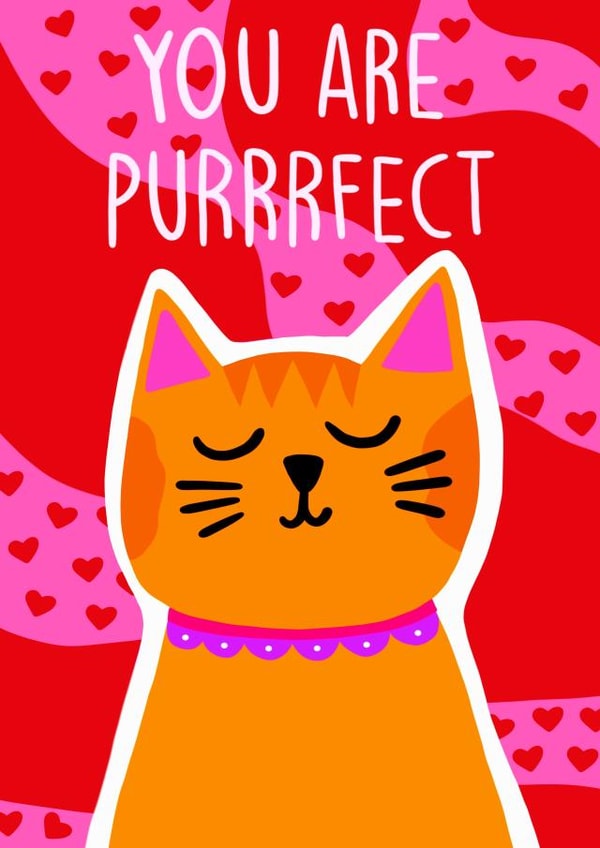 Purrrfect card created by The Paper Tail 