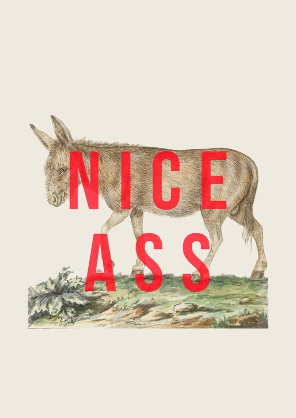 Nice Ass! A punny card to show appreciation for the ass! created by The 13 Prints