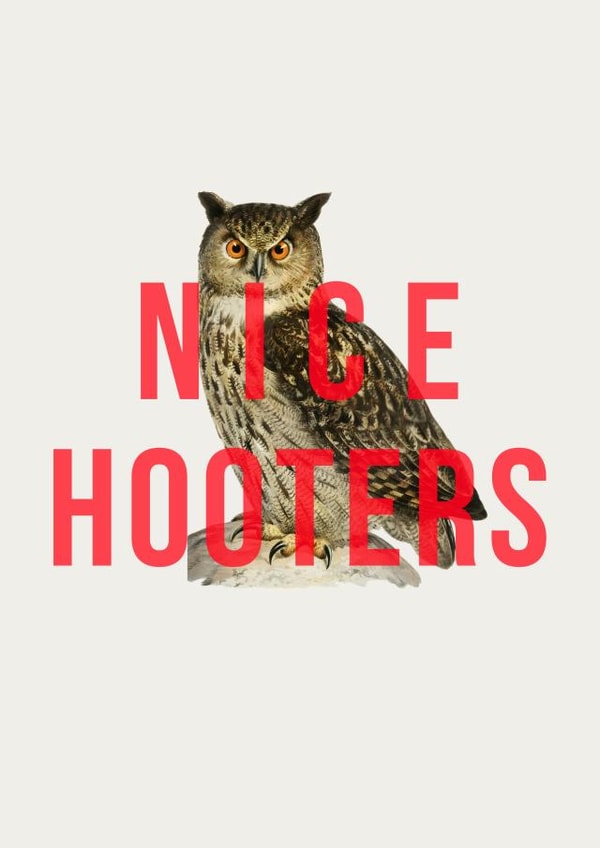 Nice Hooters! A punny card to show appreciation for your fave hooters! created by The 13 Prints