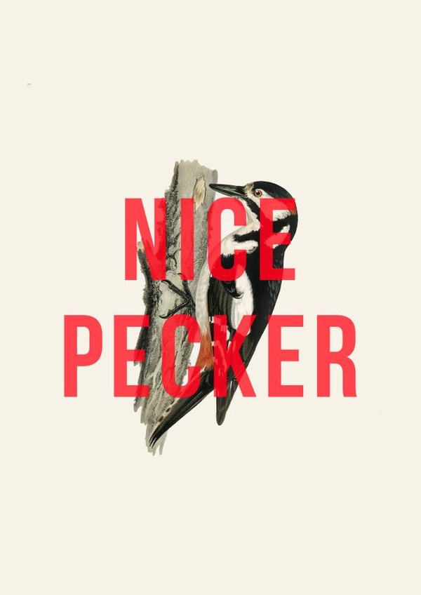 Nice pecker! A punny card to show appreciation for your fave pecker! created by The 13 Prints