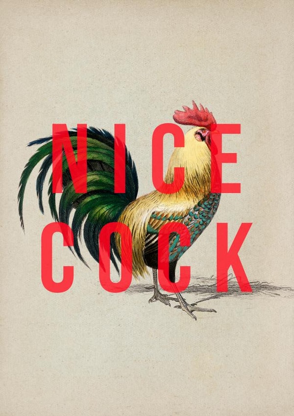 Nice Cock! A punny card to show appreciation for your fave cock! created by The 13 Prints