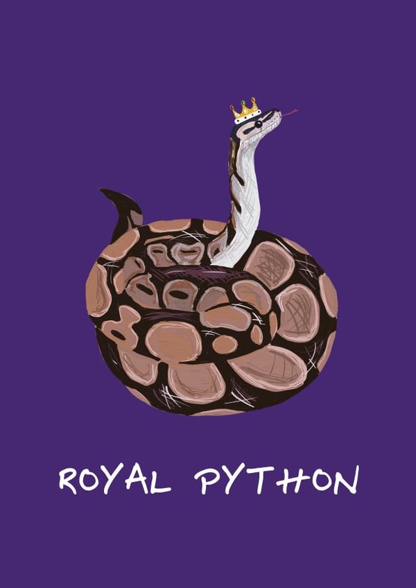 Funny Animal Pun Card - Snake - Royal Python created by Toadstools and Frogsofas