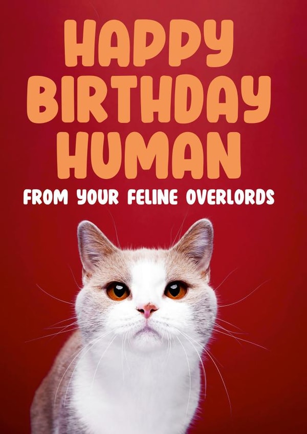 Funny card for cat owner - Happy Birthday Human | thortful