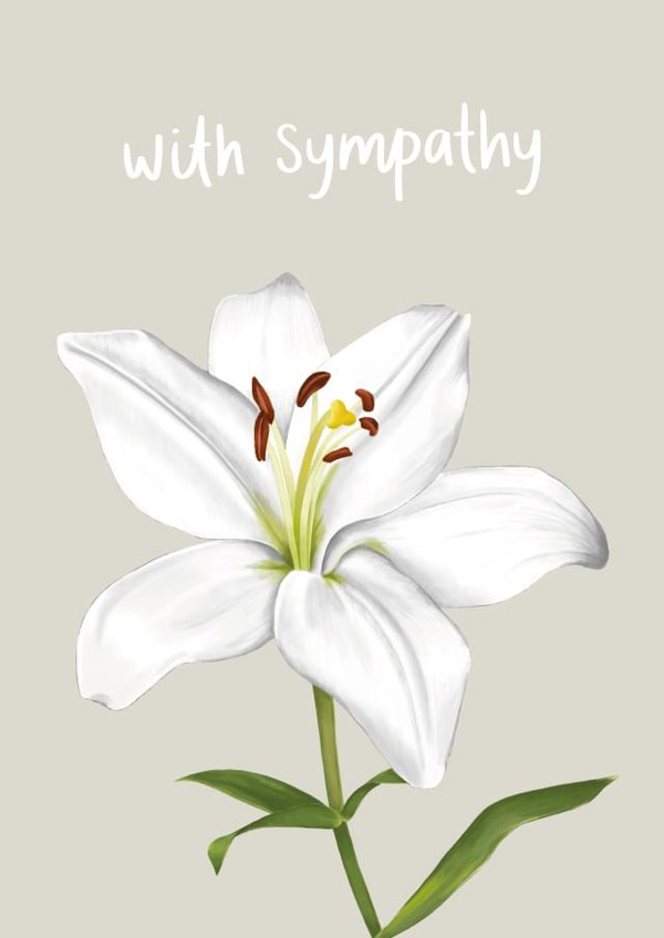 Cute Sympathy Card - Casablanca Lily created by Fliss Muir