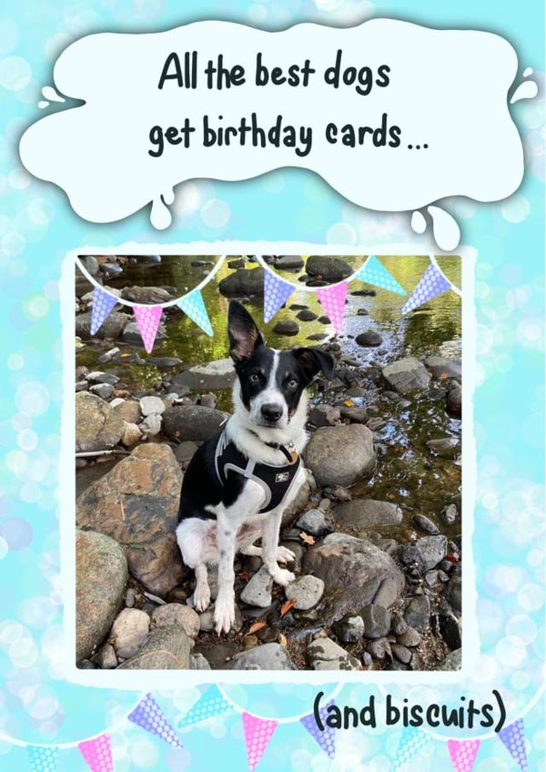Dog Puppy Personalised Photo Card 48433 created by Leanne Congdon