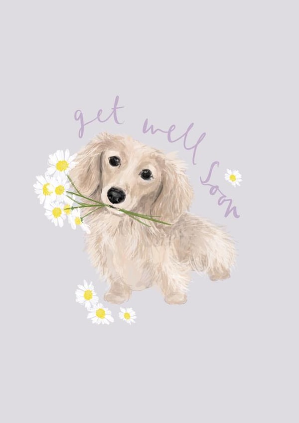 Get Well Soon Sausage Dog / Dachshund Card created by Honey & Velvet Studio