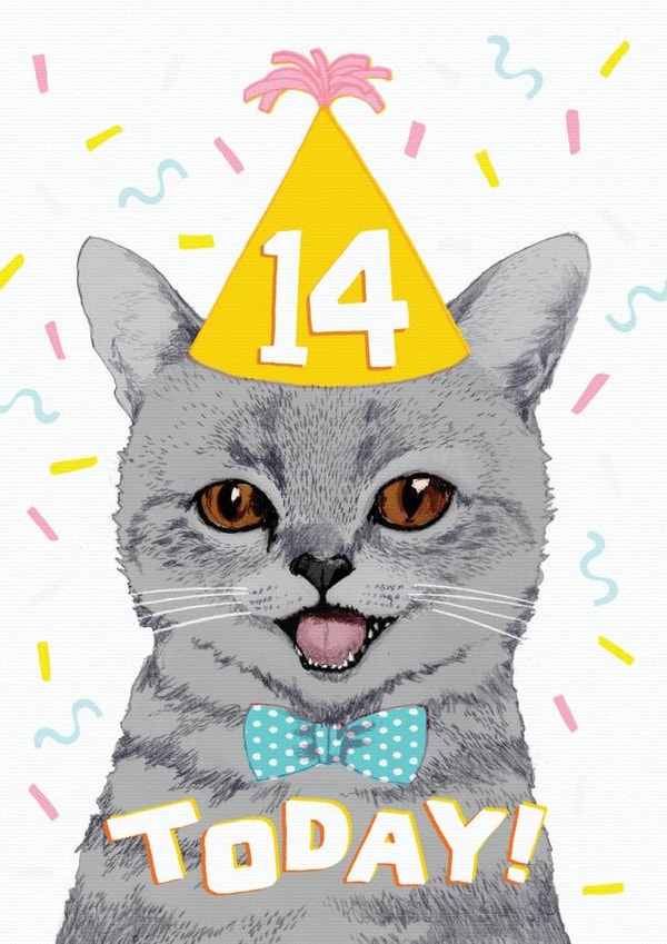 Cute Birthday Crd - 14th - Cat created by Pencilface