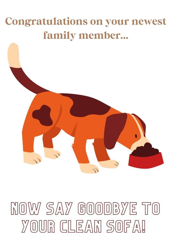 New dog cute funny. New puppy. Congratulations new addition created by DesignsByFKB