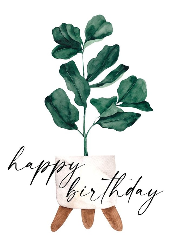 Happy Birthday Fiddle Leaf Fig Card - Plant Birthday Card - Happy Birthday Plant created by Open Space Collective
