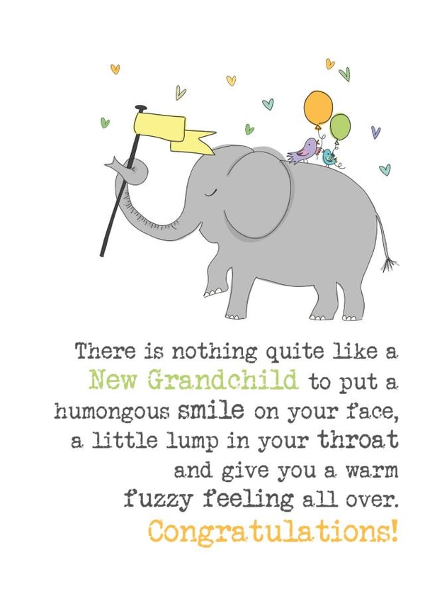 New Grandchild - Congratulations - Grandparents - Grandma - Grandad created by Dandelion Stationery