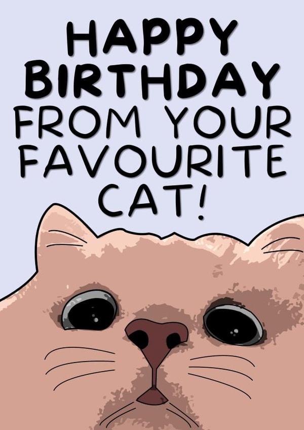 Funny Birthday Card From The Cat - Happy Birthday From Your Favourite Cat! created by Strawberry Cards