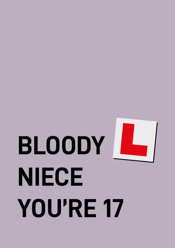Cheeky 17th birthday card - niece created by Quinton cards